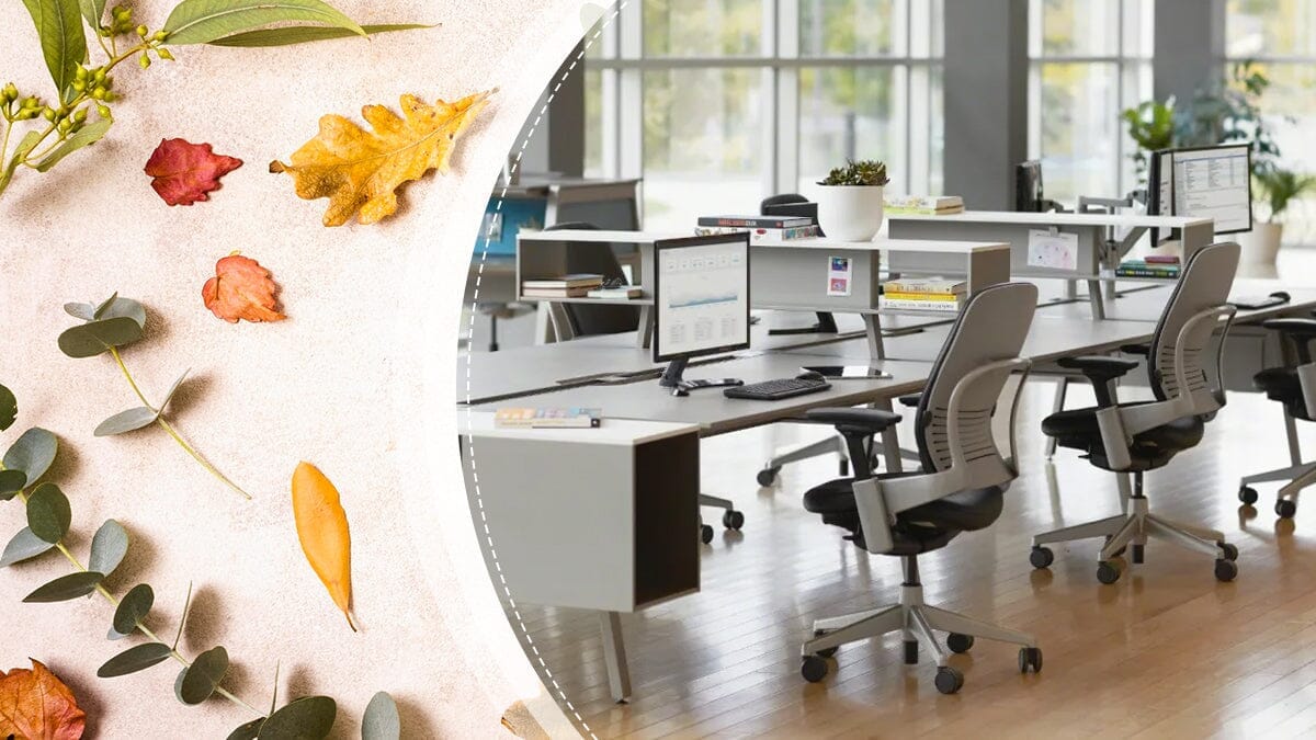 Refurbished Office Furnishings