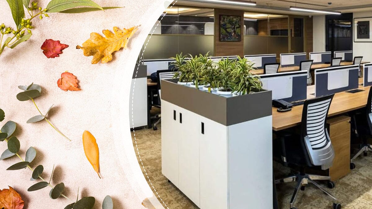 Pre-Thanksgiving Sale: Furnish Your Office with Gratitude and Great Deals!