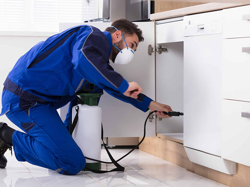 Should I Be Concerned About Bugs or Pests in My Preowned Office Furniture?